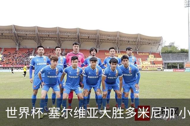 世界杯-塞尔维亚大胜多米尼加 小组第二进八强