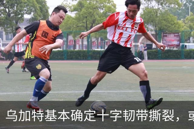 乌加特基本确定十字韧带撕裂，或迫使曼联买人！若伤缺一年可获赔500万